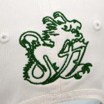 Mick Schumacher Cap Dragon